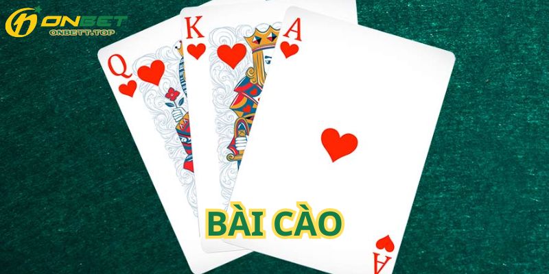 Những Điều Bạn Cần Biết Về Bài Cào